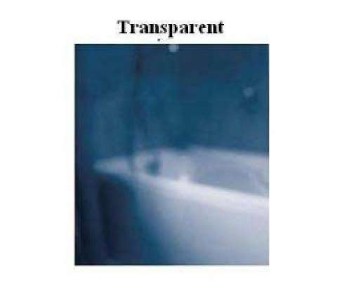 RAVAK 9QVA0100Z1 Неподвижная стенка для душа CPS-100 Белый TRANSPARENT