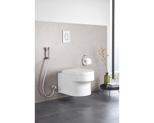 GROHE Tempesta 27514001 Trigger spray (старый арт. 27514000) набор для гигиен. душа с краном