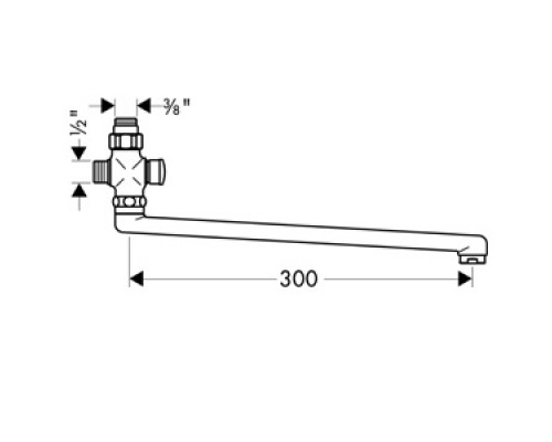Hansgrohe 14495000 Излив