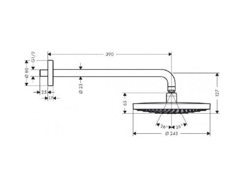 Hansgrohe 26470000 Raindance Select S 240 Верх. душ ES