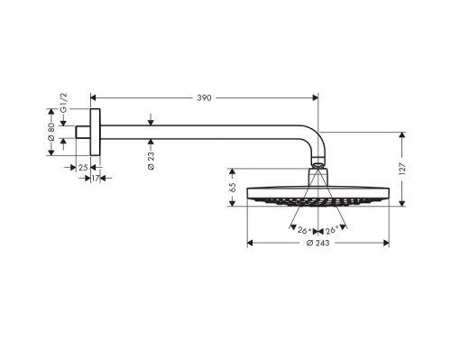 Hansgrohe 26470400 Raindance Select S 240 Верх. душ ES