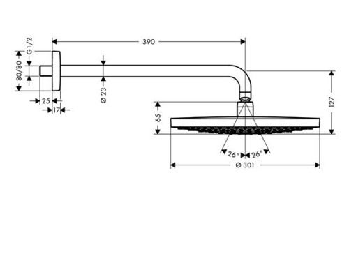 Hansgrohe 27378400 Raindance Select S 300 Верхний душ