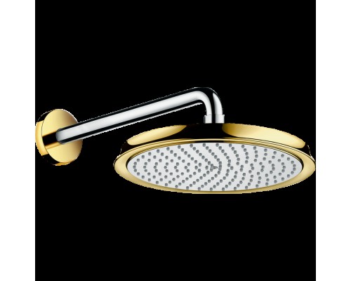 Hansgrohe 27424090 Верх.душ Raindance Classic 240 хр/зол