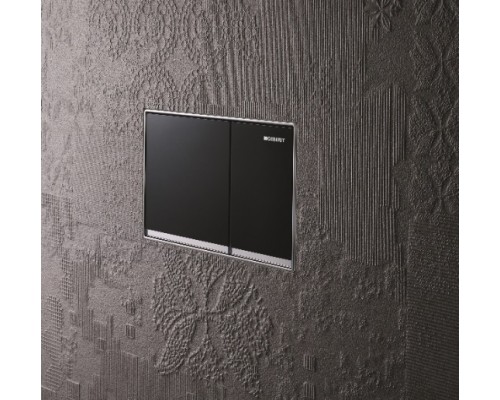 GEBERIT 115.081.SJ.1 Смывная клавиша "Omega 60", металл, черное стекло