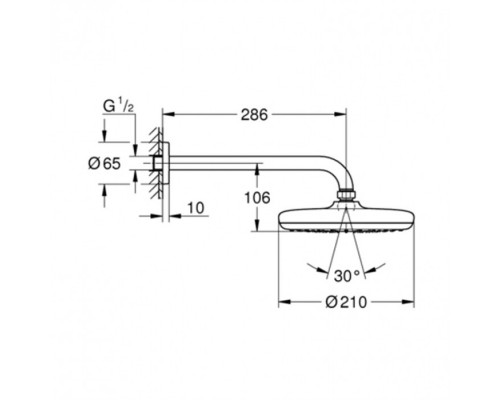 GROHE Tempesta 210 26411000 верхний душ с душевым кронштейном 286 мм, 1 режим струи