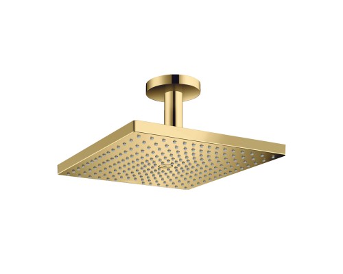 Hansgrohe RD E 300 1jet SH ceiling PGO