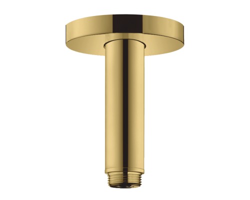 Hansgrohe ceiling connector S 100mm DN15 PGO
