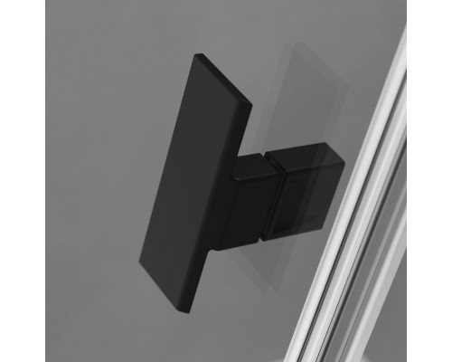 RADAWAY_NEW Душова кабіна NES Black DWD I 1200x2000 (10027120-54-01)