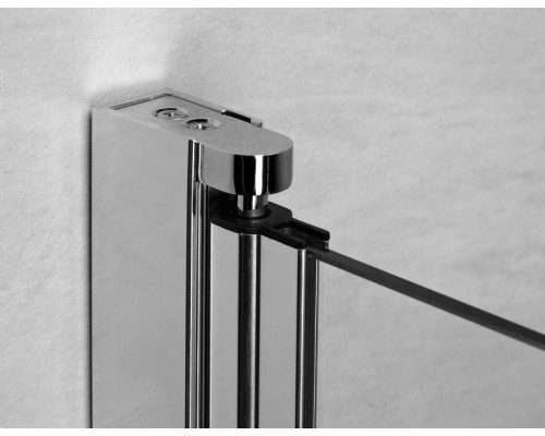 RADAWAY_NEW Душова кабіна Eos DWS 1100Lx1970 хром/прозоре (37991-01-01NL)