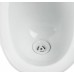Пісуар підвісний дитячий Qtap Baby 420х300х465 White з малюнком QT2388U460EWD