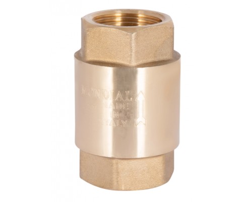 ICMA Зворотний клапан №53 1"ВВ з латуннним штоком 83053AF05 Icma